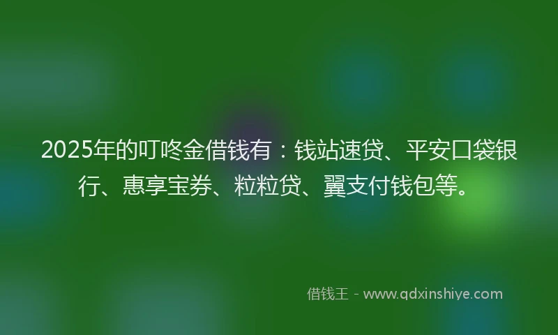 2025年的叮咚金借钱有：钱站速贷、平安口袋银行、惠享宝券、粒粒贷、翼支付钱包等。