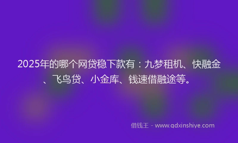 2025年的哪个网贷稳下款有：九梦租机、快融金、飞鸟贷、小金库、钱速借融途等。