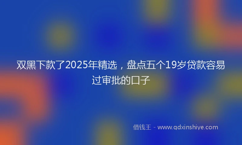 双黑下款了2025年精选，盘点五个19岁贷款容易过审批的口子