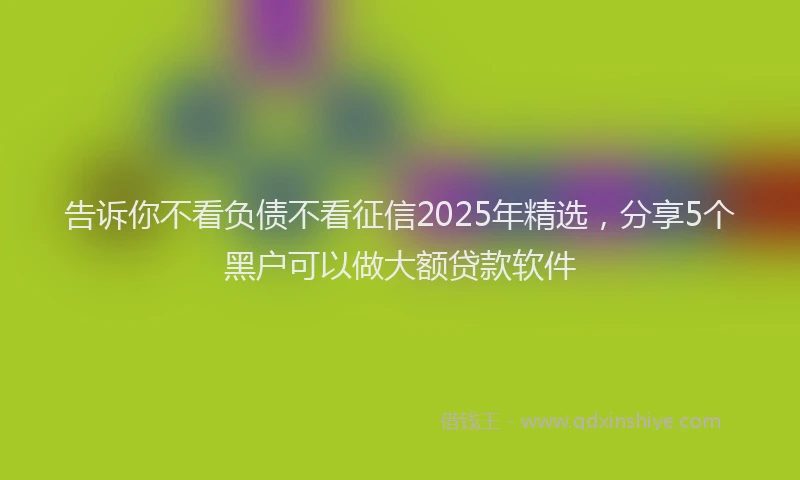 告诉你不看负债不看征信2025年精选，分享5个黑户可以做大额贷款软件