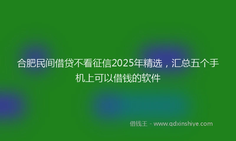 合肥民间借贷不看征信2025年精选，汇总五个手机上可以借钱的软件