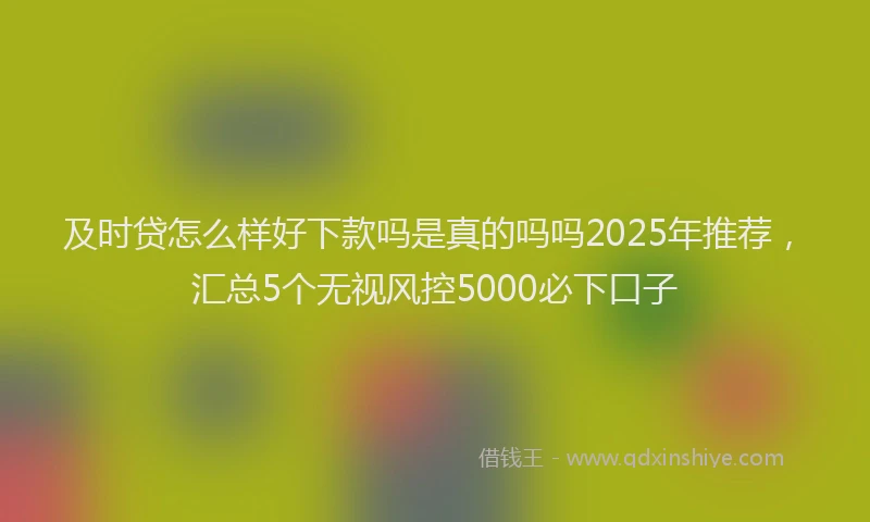 及时贷怎么样好下款吗是真的吗吗2025年推荐，汇总5个无视风控5000必下口子