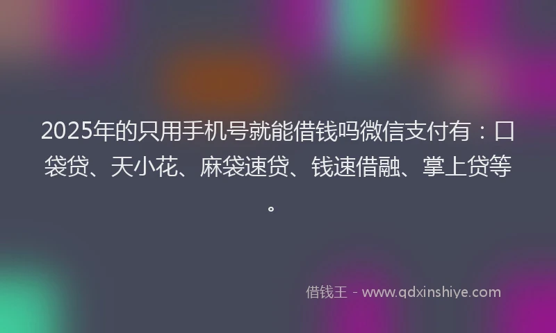 2025年的只用手机号就能借钱吗微信支付有：口袋贷、天小花、麻袋速贷、钱速借融、掌上贷等。