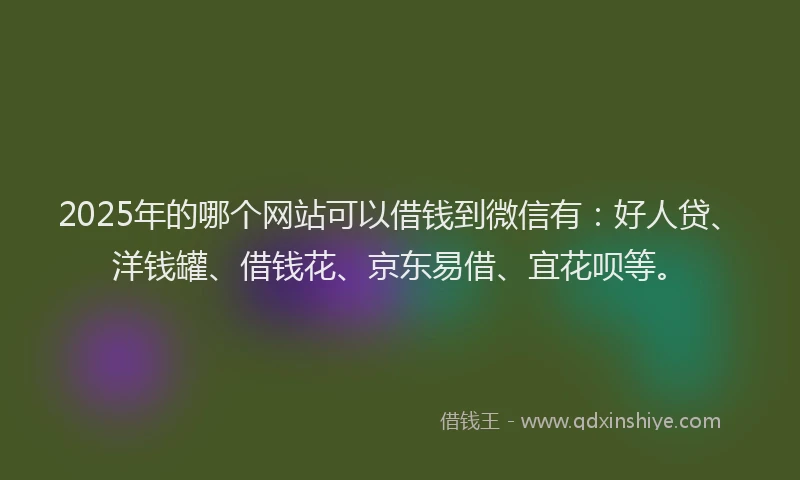 2025年的哪个网站可以借钱到微信有：好人贷、洋钱罐、借钱花、京东易借、宜花呗等。