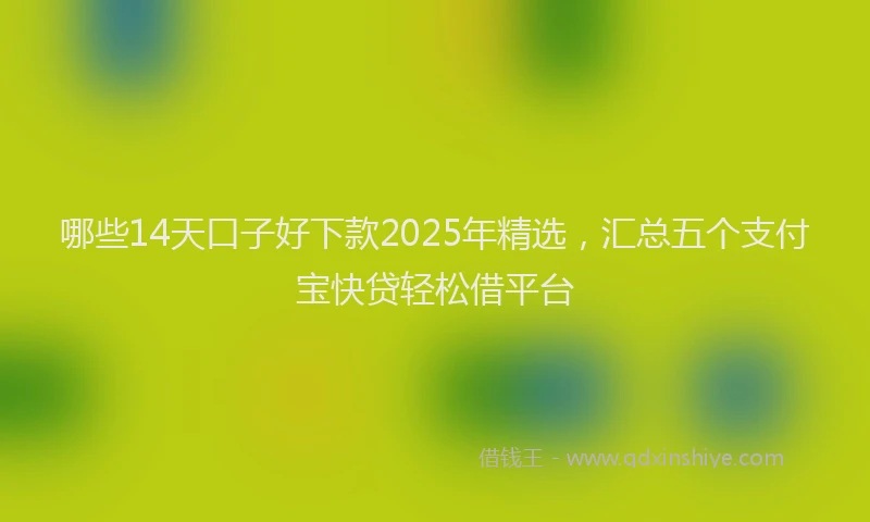 哪些14天口子好下款2025年精选，汇总五个支付宝快贷轻松借平台