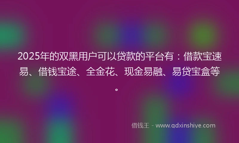 2025年的双黑用户可以贷款的平台有：借款宝速易、借钱宝途、全金花、现金易融、易贷宝盒等。