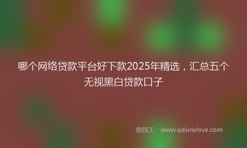 哪个网络贷款平台好下款2025年精选，汇总五个无视黑白贷款口子