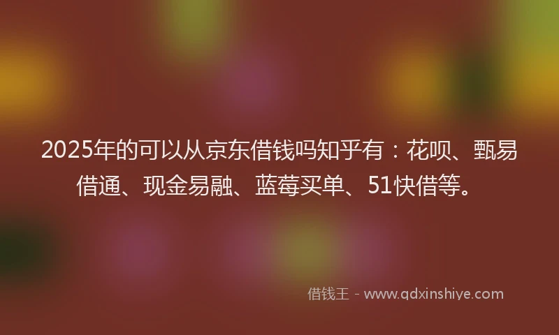 2025年的可以从京东借钱吗知乎有：花呗、甄易借通、现金易融、蓝莓买单、51快借等。