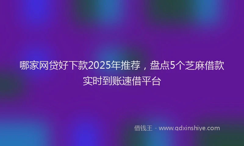 哪家网贷好下款2025年推荐，盘点5个芝麻借款实时到账速借平台
