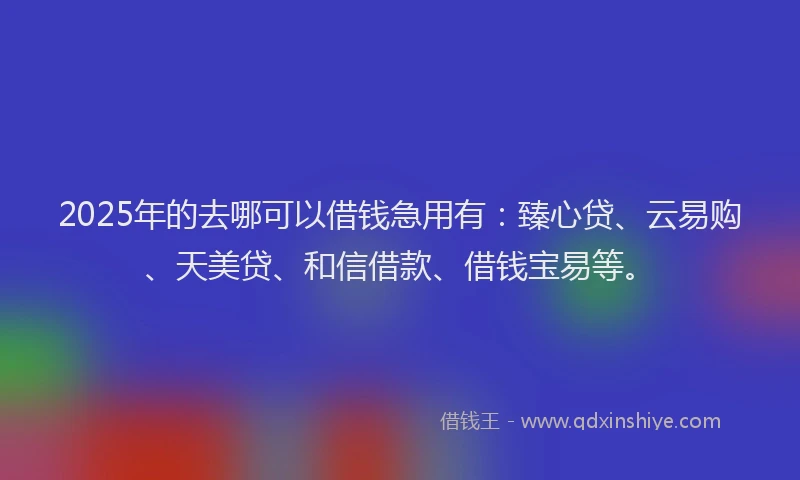 2025年的去哪可以借钱急用有：臻心贷、云易购、天美贷、和信借款、借钱宝易等。