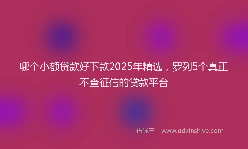 哪个小额贷款好下款2025年精选，罗列5个真正不查征信的贷款平台
