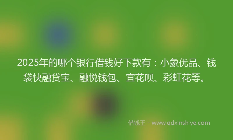 2025年的哪个银行借钱好下款有：小象优品、钱袋快融贷宝、融悦钱包、宜花呗、彩虹花等。
