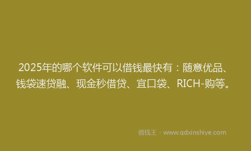 2025年的哪个软件可以借钱最快有：随意优品、钱袋速贷融、现金秒借贷、宜口袋、RICH-购等。