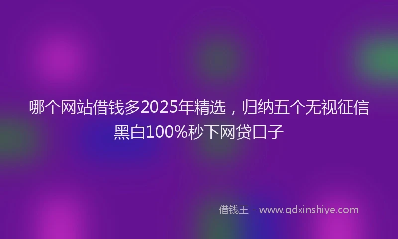 哪个网站借钱多2025年精选，归纳五个无视征信黑白100%秒下网贷口子