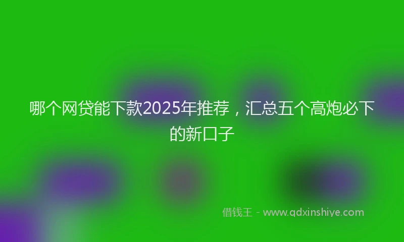 哪个网贷能下款2025年推荐，汇总五个高炮必下的新口子