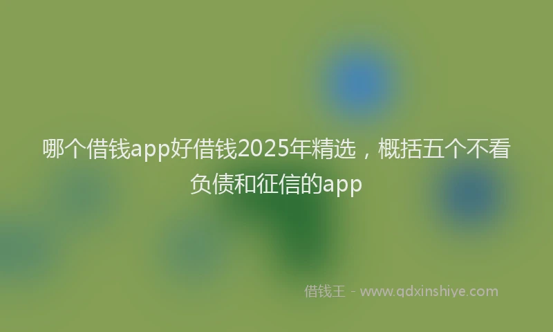 哪个借钱app好借钱2025年精选，概括五个不看负债和征信的app