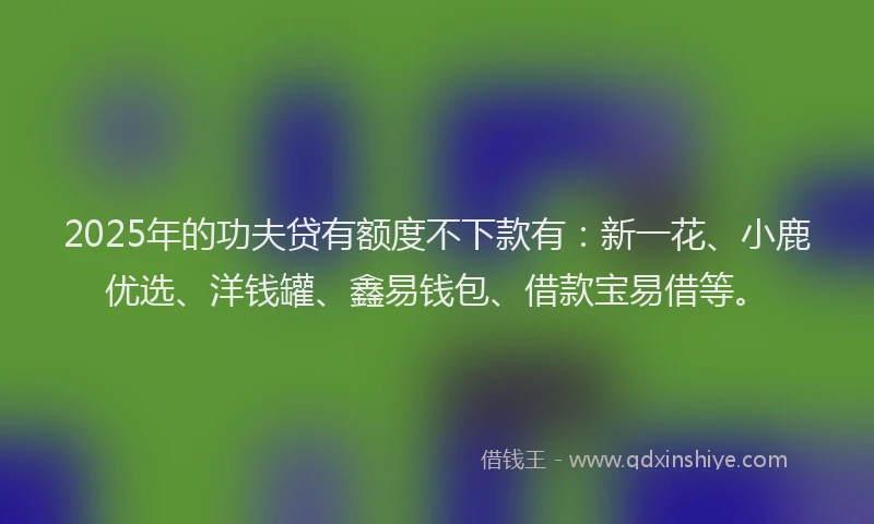 2025年的功夫贷有额度不下款有：新一花、小鹿优选、洋钱罐、鑫易钱包、借款宝易借等。