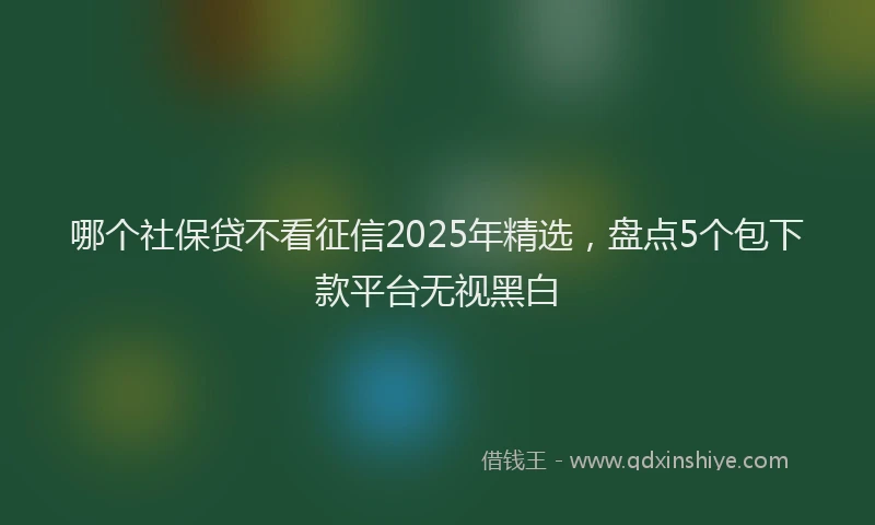 哪个社保贷不看征信2025年精选，盘点5个包下款平台无视黑白