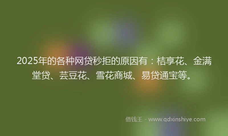 2025年的各种网贷秒拒的原因有：桔享花、金满堂贷、芸豆花、雪花商城、易贷通宝等。
