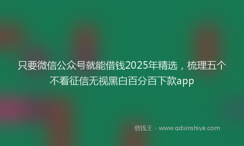 只要微信公众号就能借钱2025年精选，梳理五个不看征信无视黑白百分百下款app