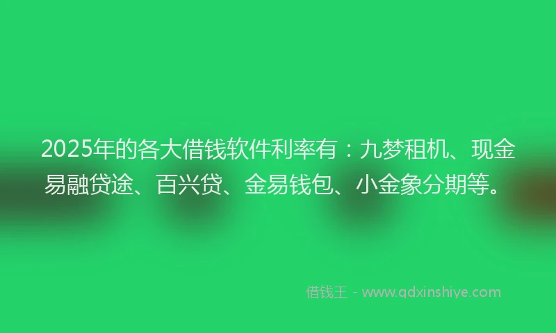 2025年的各大借钱软件利率有：九梦租机、现金易融贷途、百兴贷、金易钱包、小金象分期等。