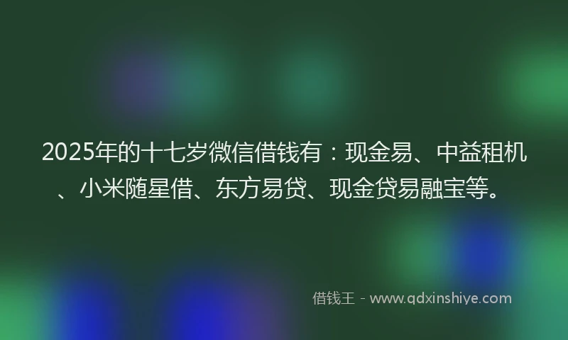2025年的十七岁微信借钱有：现金易、中益租机、小米随星借、东方易贷、现金贷易融宝等。