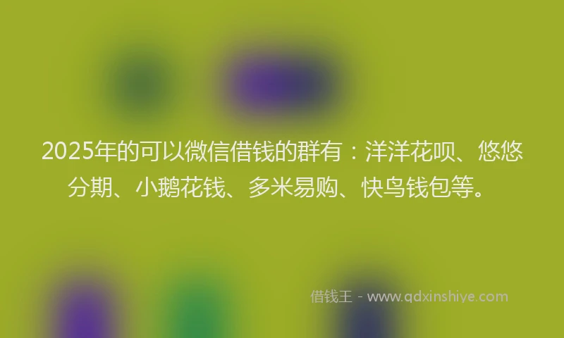 2025年的可以微信借钱的群有：洋洋花呗、悠悠分期、小鹅花钱、多米易购、快鸟钱包等。
