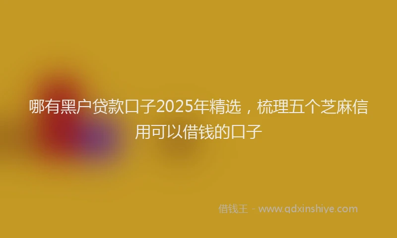 哪有黑户贷款口子2025年精选，梳理五个芝麻信用可以借钱的口子