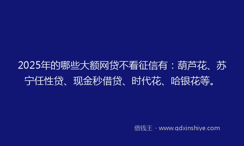 2025年的哪些大额网贷不看征信有：葫芦花、苏宁任性贷、现金秒借贷、时代花、哈银花等。