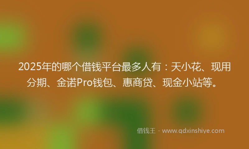2025年的哪个借钱平台最多人有：天小花、现用分期、金诺Pro钱包、惠商贷、现金小站等。