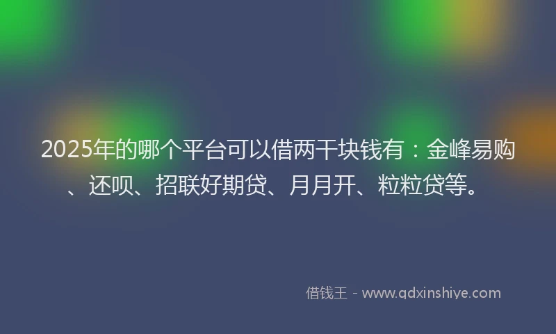 2025年的哪个平台可以借两干块钱有：金峰易购、还呗、招联好期贷、月月开、粒粒贷等。