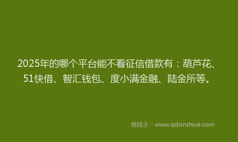 2025年的哪个平台能不看征信借款有：葫芦花、51快借、智汇钱包、度小满金融、陆金所等。