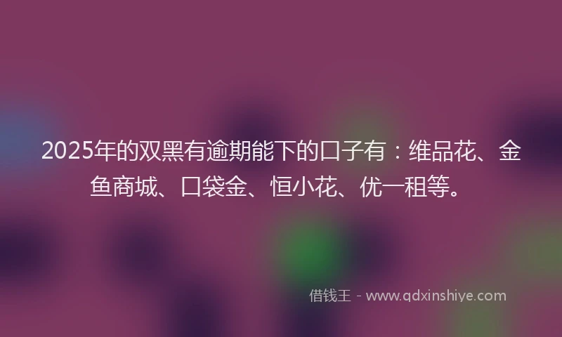 2025年的双黑有逾期能下的口子有：维品花、金鱼商城、口袋金、恒小花、优一租等。