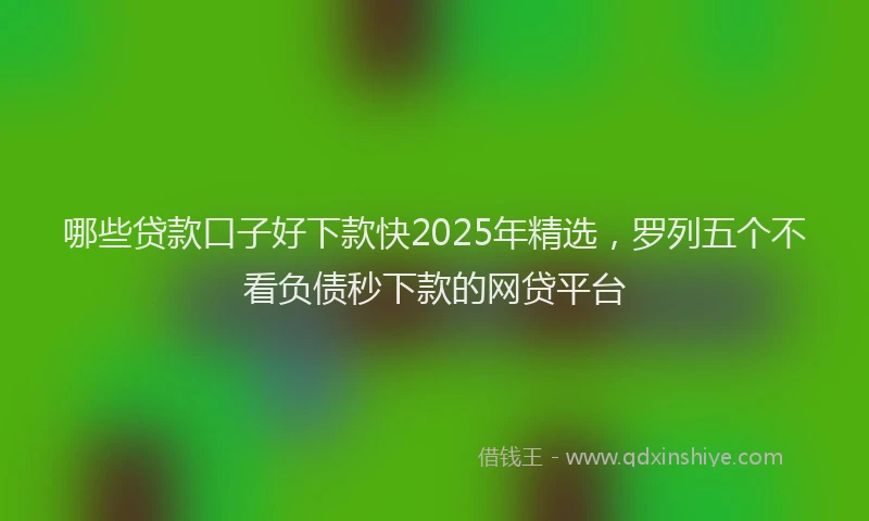 哪些贷款口子好下款快2025年精选，罗列五个不看负债秒下款的网贷平台