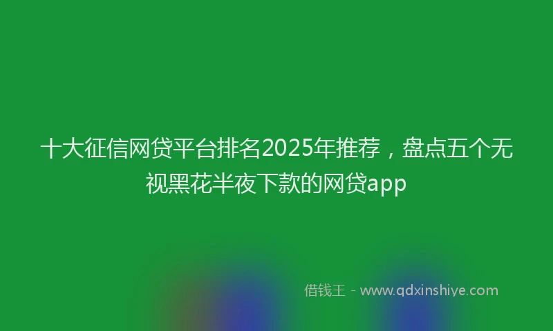 十大征信网贷平台排名2025年推荐，盘点五个无视黑花半夜下款的网贷app