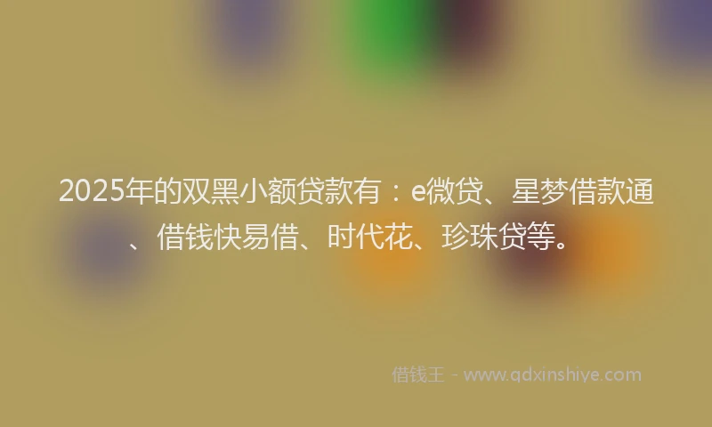 2025年的双黑小额贷款有：e微贷、星梦借款通、借钱快易借、时代花、珍珠贷等。
