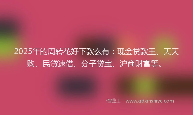 2025年的周转花好下款么有：现金贷款王、天天购、民贷速借、分子贷宝、沪商财富等。