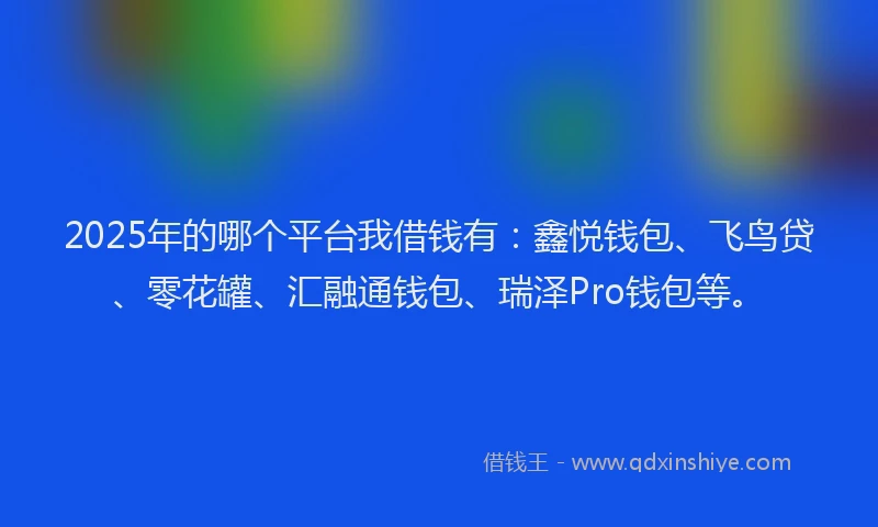 2025年的哪个平台我借钱有：鑫悦钱包、飞鸟贷、零花罐、汇融通钱包、瑞泽Pro钱包等。