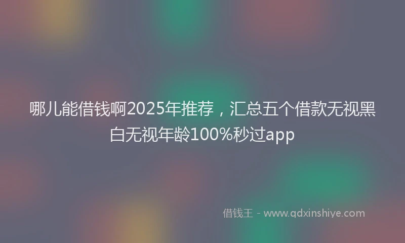 哪儿能借钱啊2025年推荐，汇总五个借款无视黑白无视年龄100%秒过app