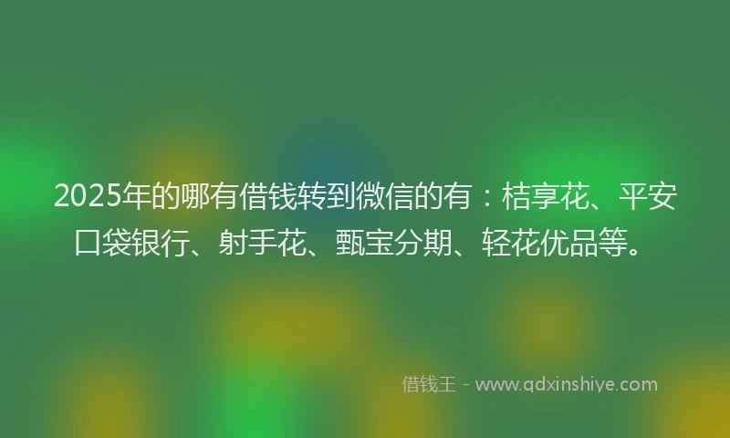 2025年的哪有借钱转到微信的有：桔享花、平安口袋银行、射手花、甄宝分期、轻花优品等。