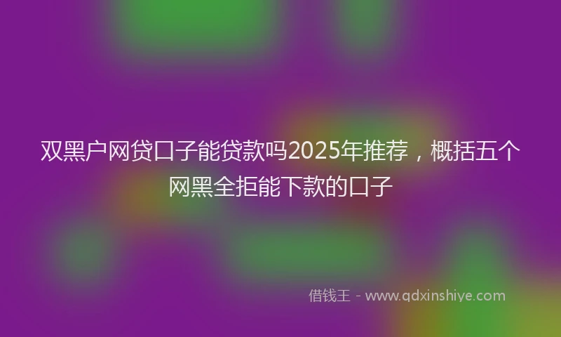 双黑户网贷口子能贷款吗2025年推荐，概括五个网黑全拒能下款的口子