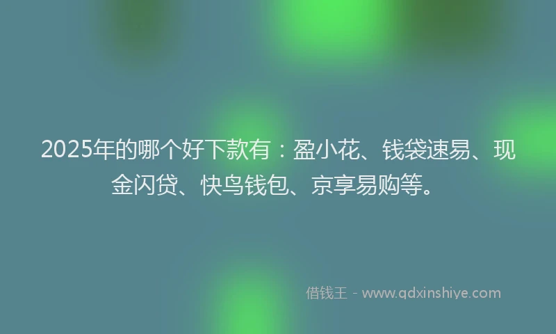 2025年的哪个好下款有：盈小花、钱袋速易、现金闪贷、快鸟钱包、京享易购等。
