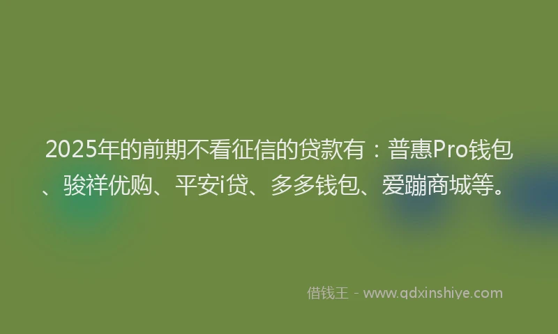 2025年的前期不看征信的贷款有：普惠Pro钱包、骏祥优购、平安i贷、多多钱包、爱蹦商城等。