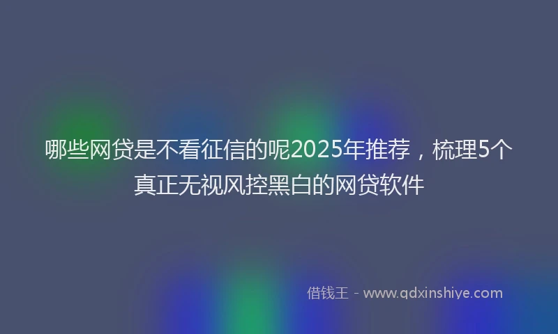 哪些网贷是不看征信的呢2025年推荐，梳理5个真正无视风控黑白的网贷软件