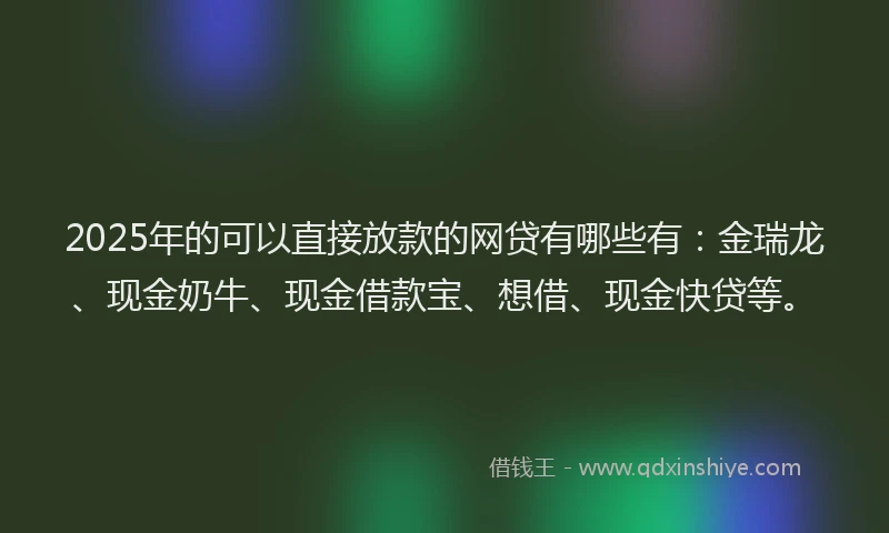 2025年的可以直接放款的网贷有哪些有：金瑞龙、现金奶牛、现金借款宝、想借、现金快贷等。