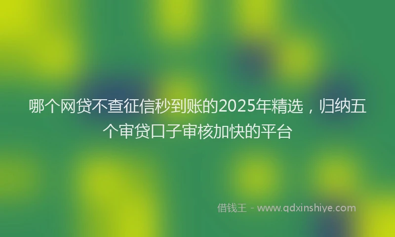 哪个网贷不查征信秒到账的2025年精选，归纳五个审贷口子审核加快的平台
