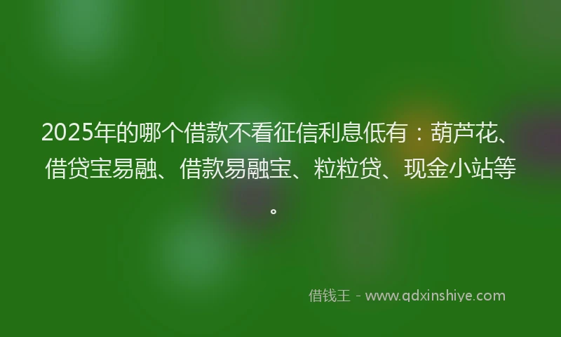 2025年的哪个借款不看征信利息低有：葫芦花、借贷宝易融、借款易融宝、粒粒贷、现金小站等。