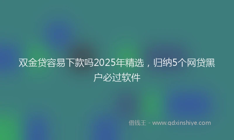 双金贷容易下款吗2025年精选，归纳5个网贷黑户必过软件