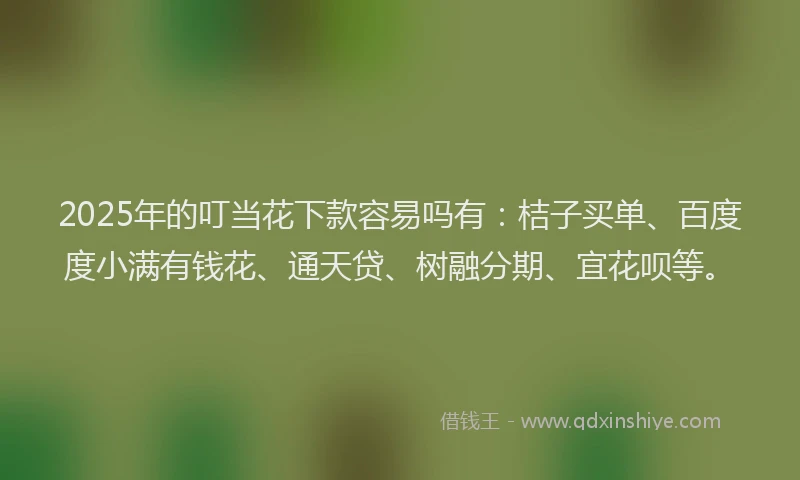 2025年的叮当花下款容易吗有：桔子买单、百度度小满有钱花、通天贷、树融分期、宜花呗等。