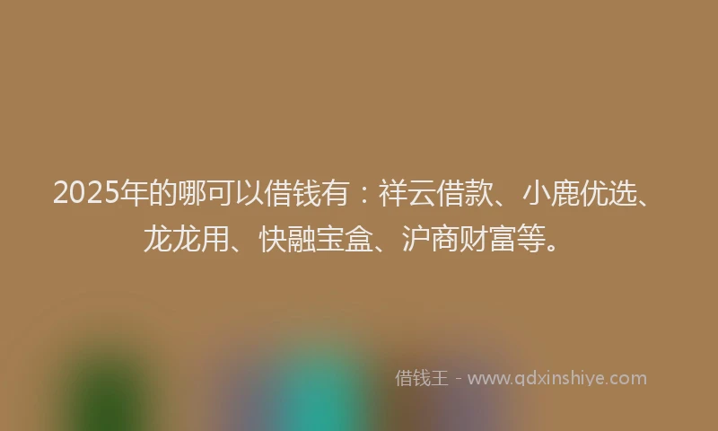 2025年的哪可以借钱有：祥云借款、小鹿优选、龙龙用、快融宝盒、沪商财富等。
